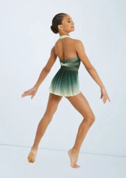 Weissman Lifelines -Best Dance Clothing Shop pl11371 weissman draped ombre mesh leotard green back 00936.1678891376